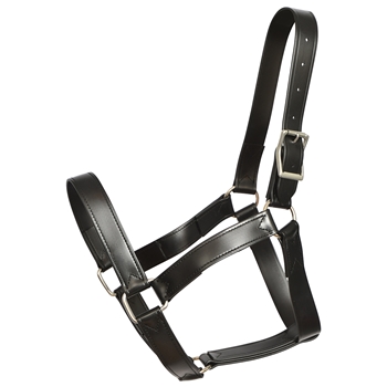 1.5 inch Heavy Duty DRAFT HORSE HALTER (Solid Colored)