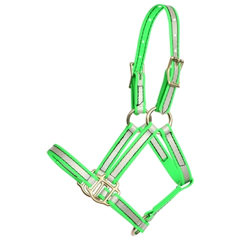 REFLECTIVE Regular Foal/Mini Halter 