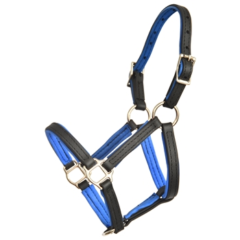 NO RUB PADDED Regular Foal/Mini Halter