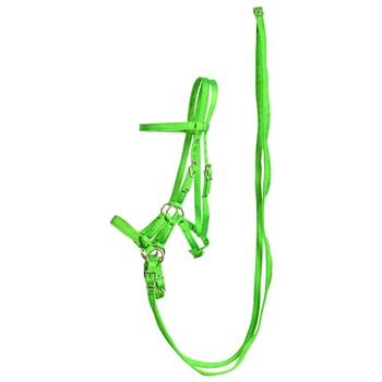 ****PHOTO SAMPLE*** $30 Lime Green Nylon Sidepull Bitless Bridle with Matching English Reins - Horse Size