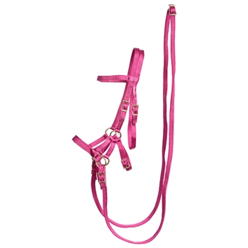 ****PHOTO SAMPLE*** $30 Raspberry Pink Nylon Sidepull Bitless Bridle with Matching English Reins - Horse Size