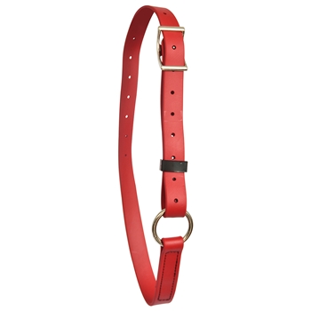 ****PHOTO SAMPLE*** $10 Chili Red Beta Biothane Adjustable Neck Collar - Horse Size