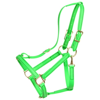 HALTER & LEAD made from BETA BIOTHANE (Solid Colored)