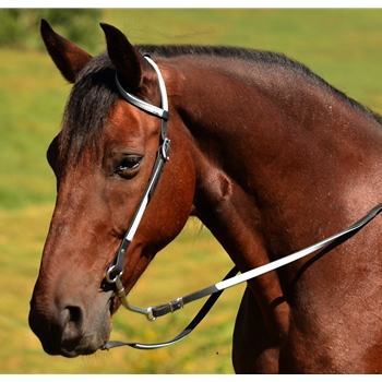 WESTERN BRIDLE (One Ear or Two Ear Split Ear Browband) made from BETA BIOTHANE (ANY 2 COLOR COMBO)