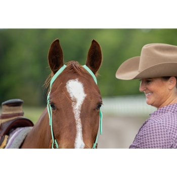WESTERN BRIDLE (One Ear or Two Ear Split Ear Browband) made from BETA BIOTHANE (Solid Colored)