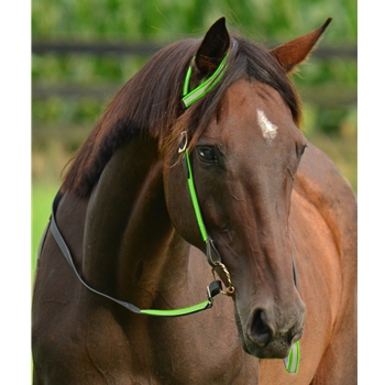 WESTERN BRIDLE (One or Two Ear Split Ear Browband) made with REFLECTIVE DAY GLO Biothane