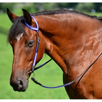 ear split western bridle parts