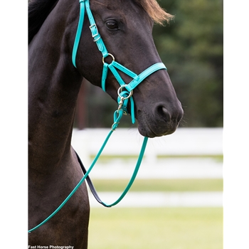 Convertible Bitless Bridle made from BETA BIOTHANE (Solid Colored) 