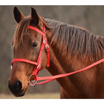 ENGLISH CONVERT-A-BRIDLE made from NYLON