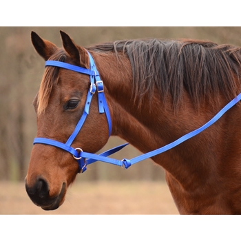 2 in 1 BITLESS BRIDLE made from NYLON