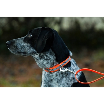 Center Ring Safety DOG COLLAR made from BETA BIOTHANE with REFLECTIVE DAY-GLO