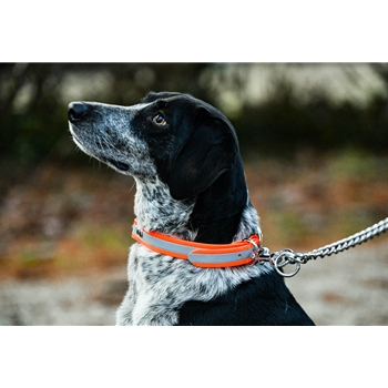 Hunt DOG COLLAR made from BETA BIOTHANE with REFLECTIVE DAY-GLO