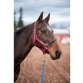 Beta Biothane Rope Combo Halter - Premium Quality Equestrian Gear for Your Horse