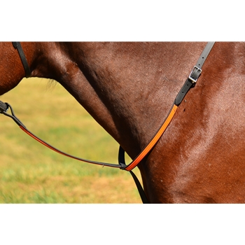 Standing Martingale 