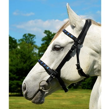 ENGLISH CONVERT-A-BRIDLE made from Beta Biothane (with BLING)