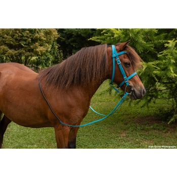 Picnic or Simple Halter Bridle made from Beta Biothane