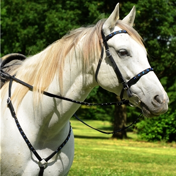 Bridle Biothane Baroque Black Brass Forehead online Strap Rhinestones Glitter Equestrian Horse Bridle Padded