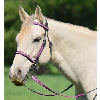 Picnic Bridle or Simple Halter Bridle For Horse - Two Horse Tack