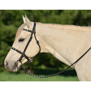 PICNIC BRIDLE or SIMPLE HALTER BRIDLE made from BETA BIOTHANE (with JEWELS RHINESTONES BLING)