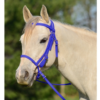ENGLISH BRIDLE with CAVESSON made from BETA BIOTHANE (Solid Colored)