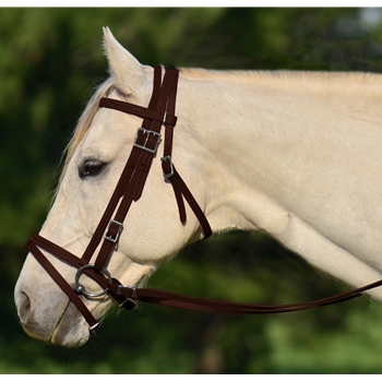 BROWN ENGLISH BRIDLE with CAVESSON made from BETA BIOTHANE 
