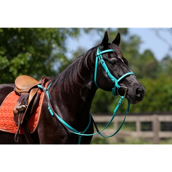 READY MADE - BLACK ENGLISH BRIDLE and REINS made from Beta Biothane