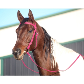 PINK WESTERN BRIDLE (Full Browband) made from BETA BIOTHANE 
