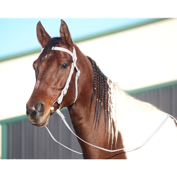 WHITE WESTERN BRIDLE (Full Browband) made from BETA BIOTHANE 