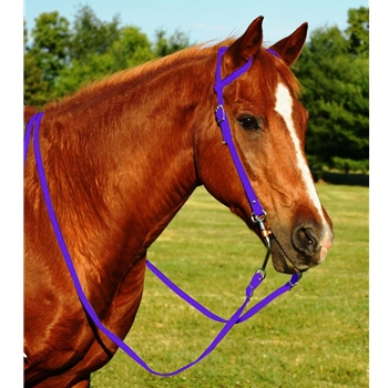 PURPLE WESTERN BRIDLE (One Ear or Two Ear Split Ear Browband) made from BETA BIOTHANE 