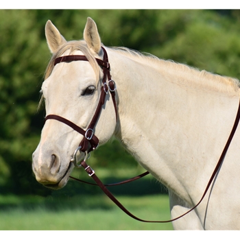 BROWN PICNIC BRIDLE or SIMPLE HALTER BRIDLE made from Beta Biothane