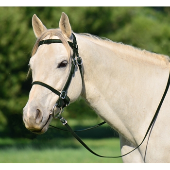 HUNTER GREEN PICNIC BRIDLE or SIMPLE HALTER BRIDLE made from Beta Biothane