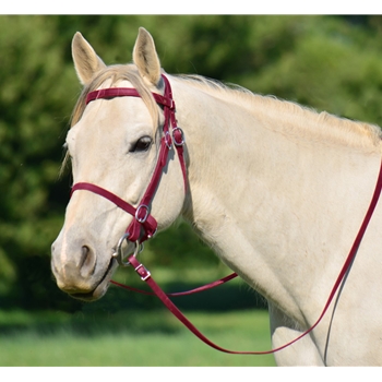 WINE PICNIC BRIDLE or SIMPLE HALTER BRIDLE made from Beta Biothane