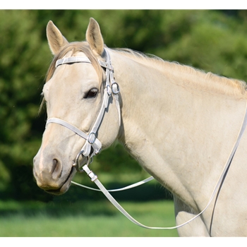 WHITE PICNIC BRIDLE or SIMPLE HALTER BRIDLE made from Beta Biothane