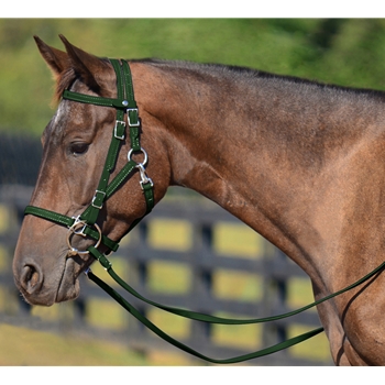 HUNTER GREEN Quick Change HALTER BRIDLE with Snap on Browband made from BETA BIOTHANE 