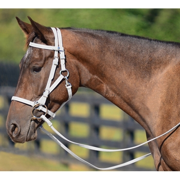WHITE Quick Change HALTER BRIDLE with Snap on Browband made from BETA BIOTHANE 