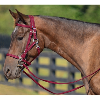 WINE Quick Change HALTER BRIDLE with Snap on Browband made from BETA BIOTHANE 