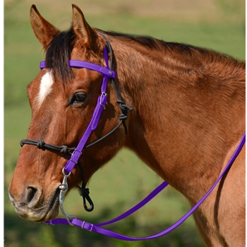PURPLE Snap on Browband WESTERN BRIDLE made from BETA BIOTHANE