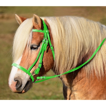 LIME GREEN ENGLISH HUNT BRIDLE Made from Beta Biothane