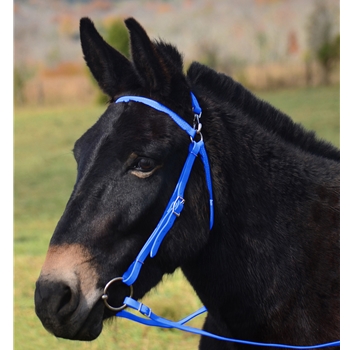 LIGHT BLUE MULE BRIDLE made from BETA BIOTHANE