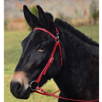 WINE MULE BRIDLE made from BETA BIOTHANE