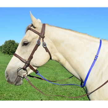 STANDING MARTINGALE