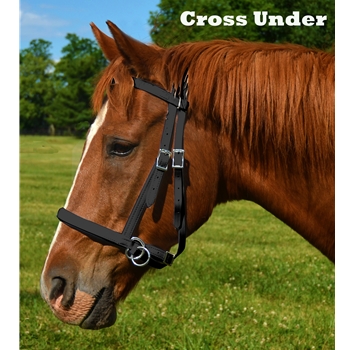 Horse  2 in 1 BITLESS BRIDLES