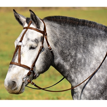 WARMBLOOD/THOROUGHBRED SIZE War or Medieval Bridle made from BETA BIOTHANE