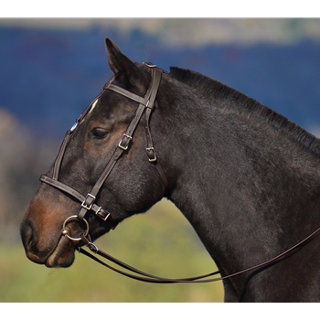 HORSE SIZE War or Medieval Bridle made from BETA BIOTHANE