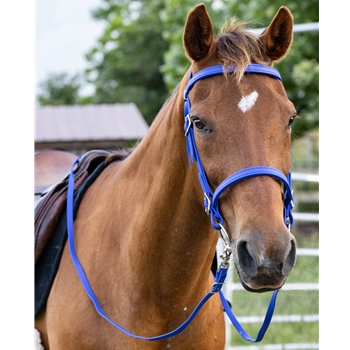 Royal Blue  Bridle made from Beta Biothane