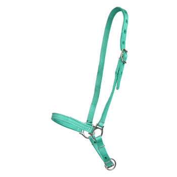 NYLON Grooming Halter