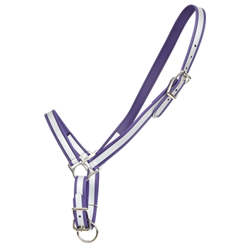 REFLECTIVE Grooming Halter