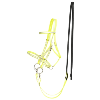 REFLECTIVE Halter Bridle with Bit Hangers