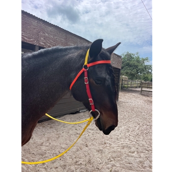 Rainbow AUSTRALIAN BARCOO OUTRIDER AUSSIE BRIDLE made from BETA BIOTHANE