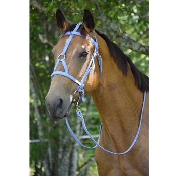 Periwinkle Blue Beta Biothane Bridle - You Choose The Size/Style